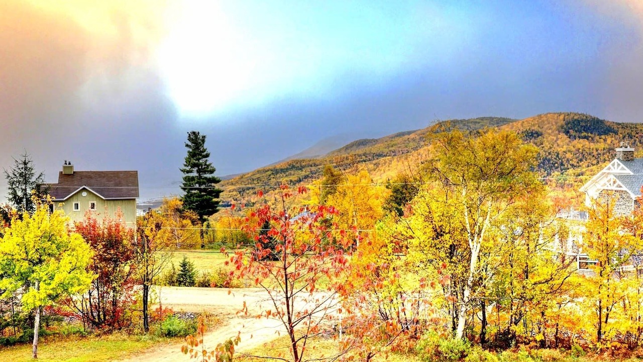 Photo of Others in Petite-Riviere-Saint-Francois