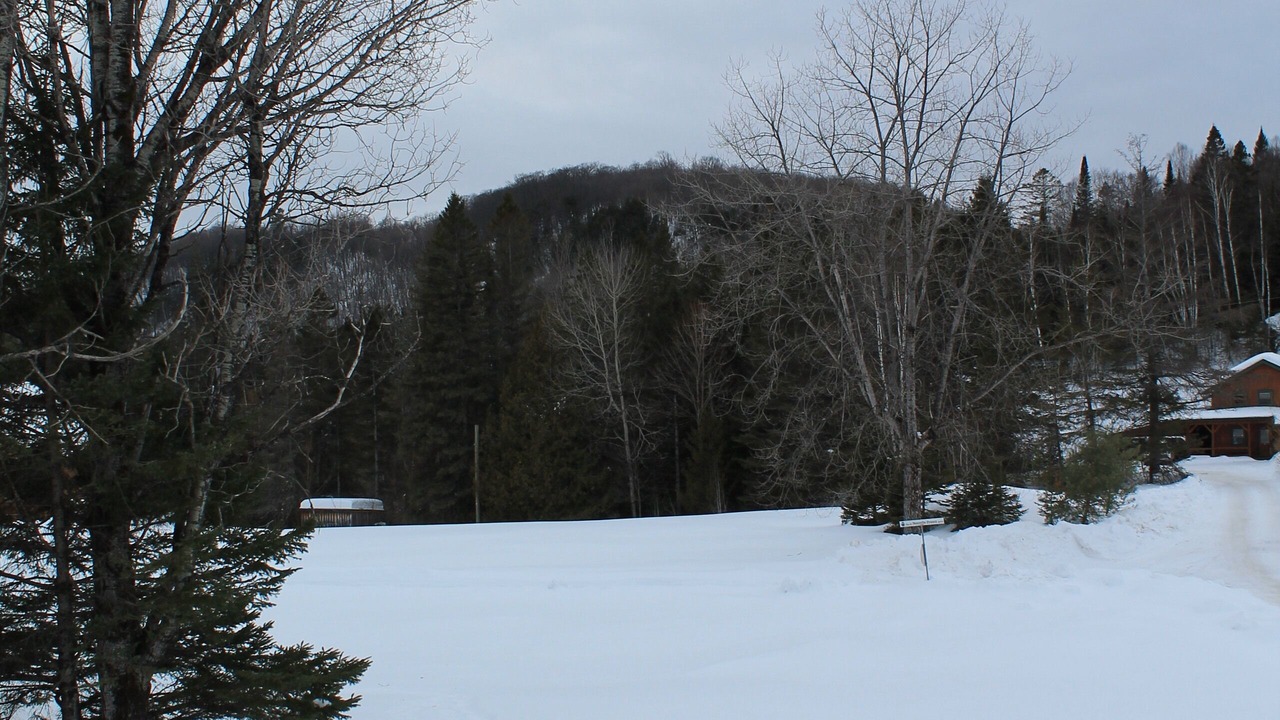 Photo of Others in Wentworth-Nord