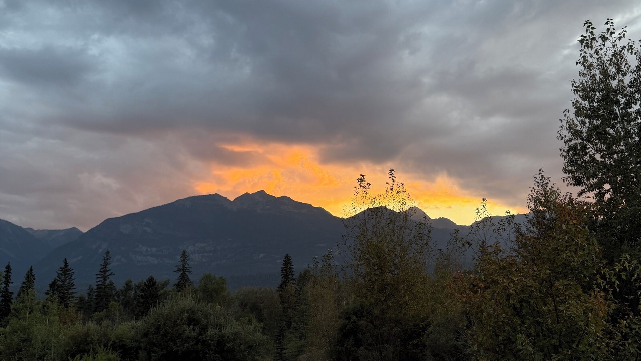 Photo of Outdoor in Golden