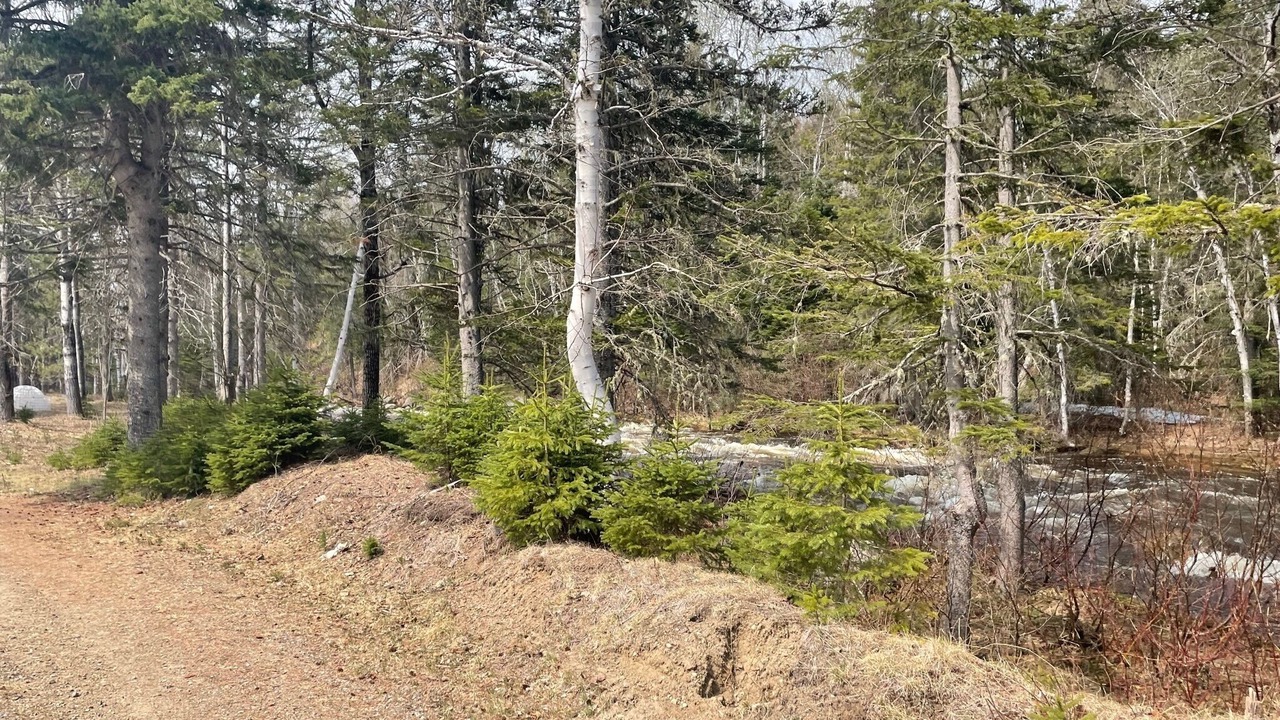 Photo of Others in Baie-St-Paul