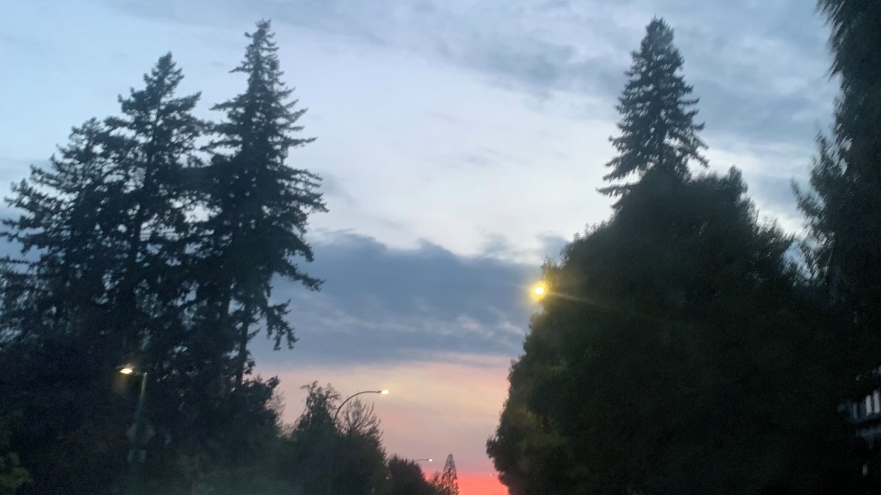 Photo of Others in Westwood Plateau