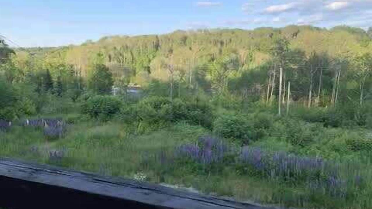 Photo of Outdoor in Maria-Chapdelaine