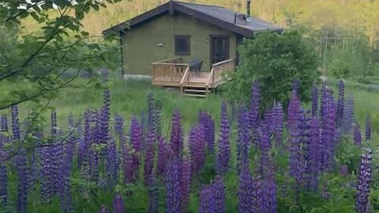 Photo of Outdoor in Maria-Chapdelaine