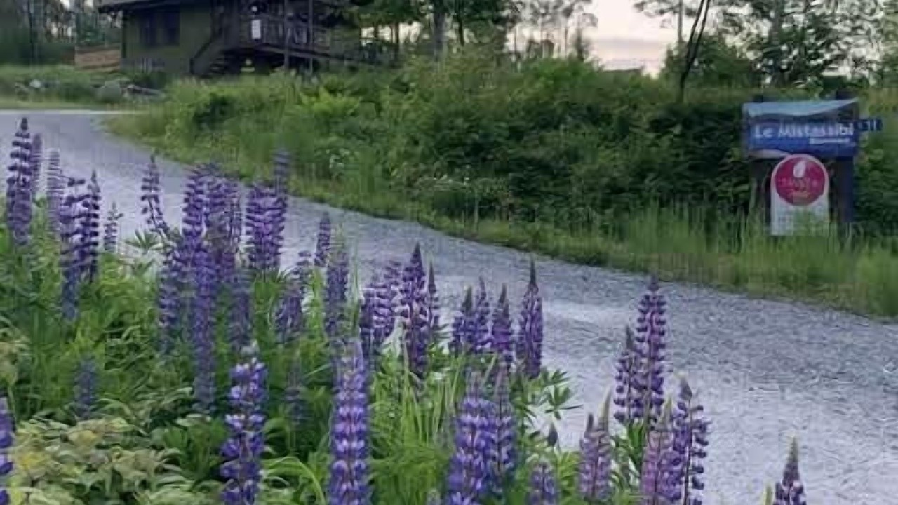 Photo of Outdoor in Maria-Chapdelaine