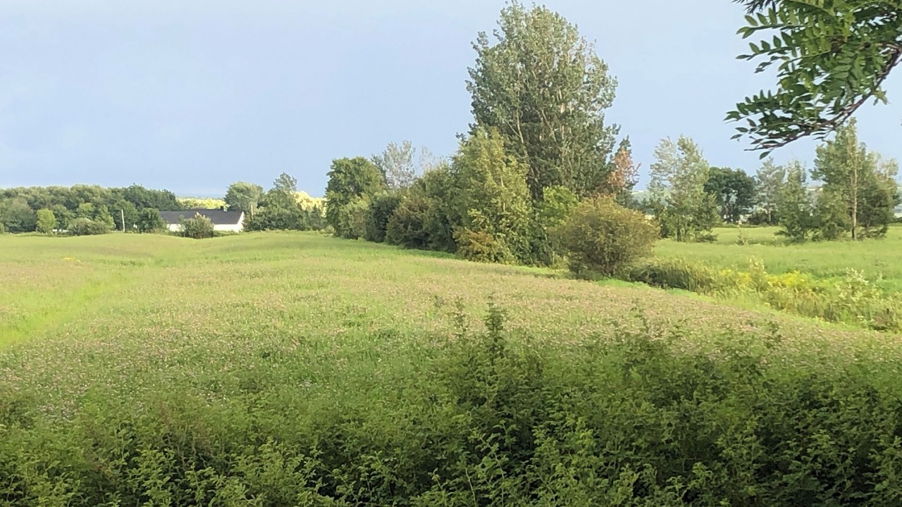 Photo of Others in St-Joachim-de-Montmorency