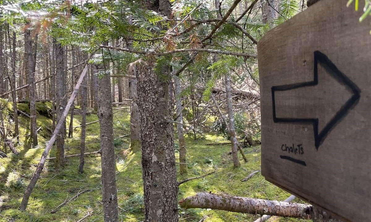 Photo of Outdoor in Notre-Dame-de-la-Merci