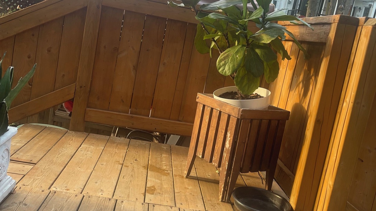 Photo of Outdoor in Greenwood - Coxwell