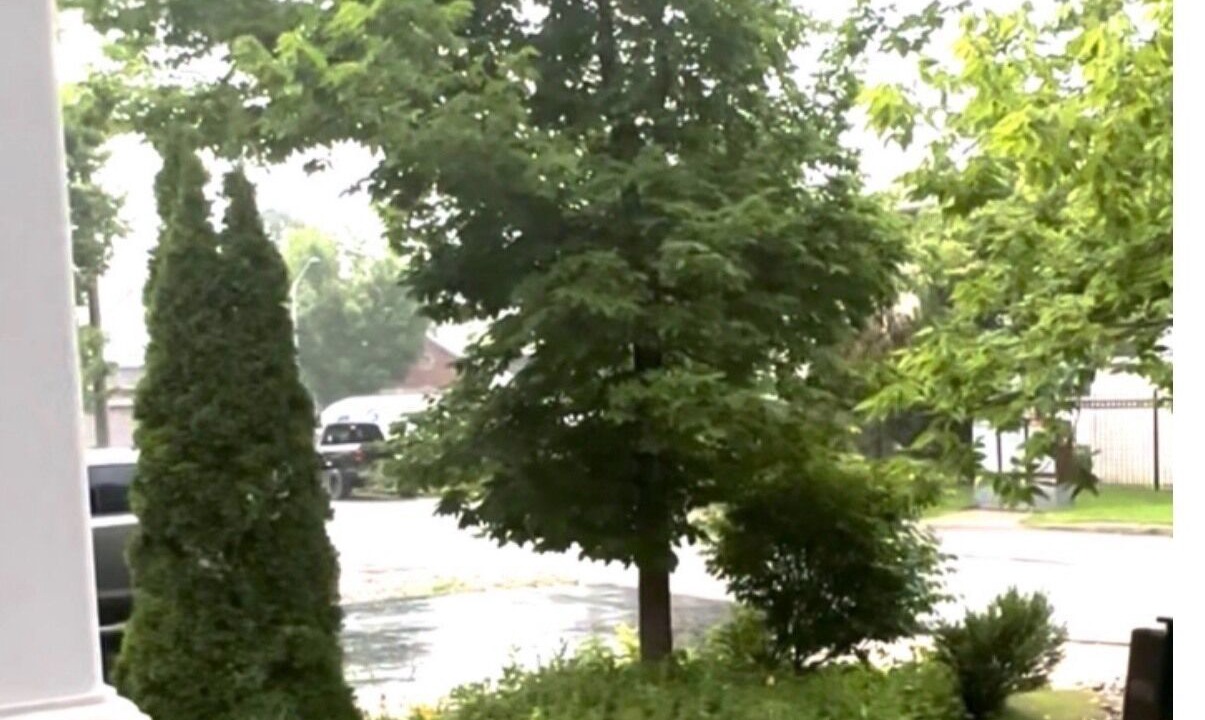 Photo of Outdoor in Chapel Hill South