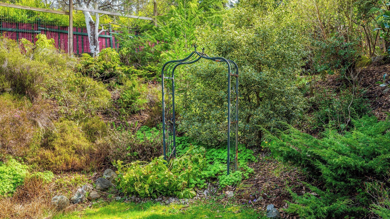 Photo of Outdoor in East Sooke