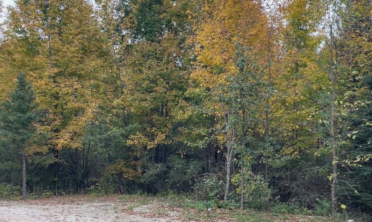 Photo of Others in Whitewater Region