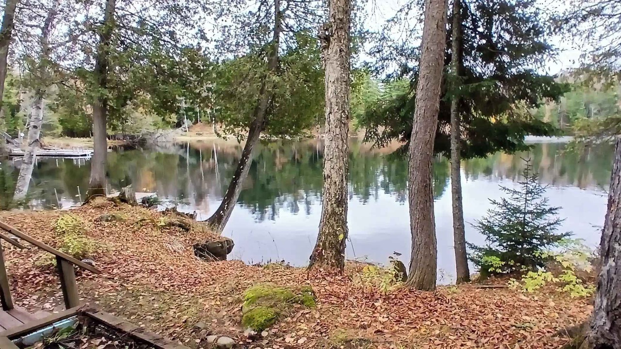 Photo of Others in South River