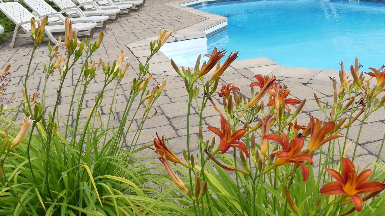Photo of Outdoor in Val David