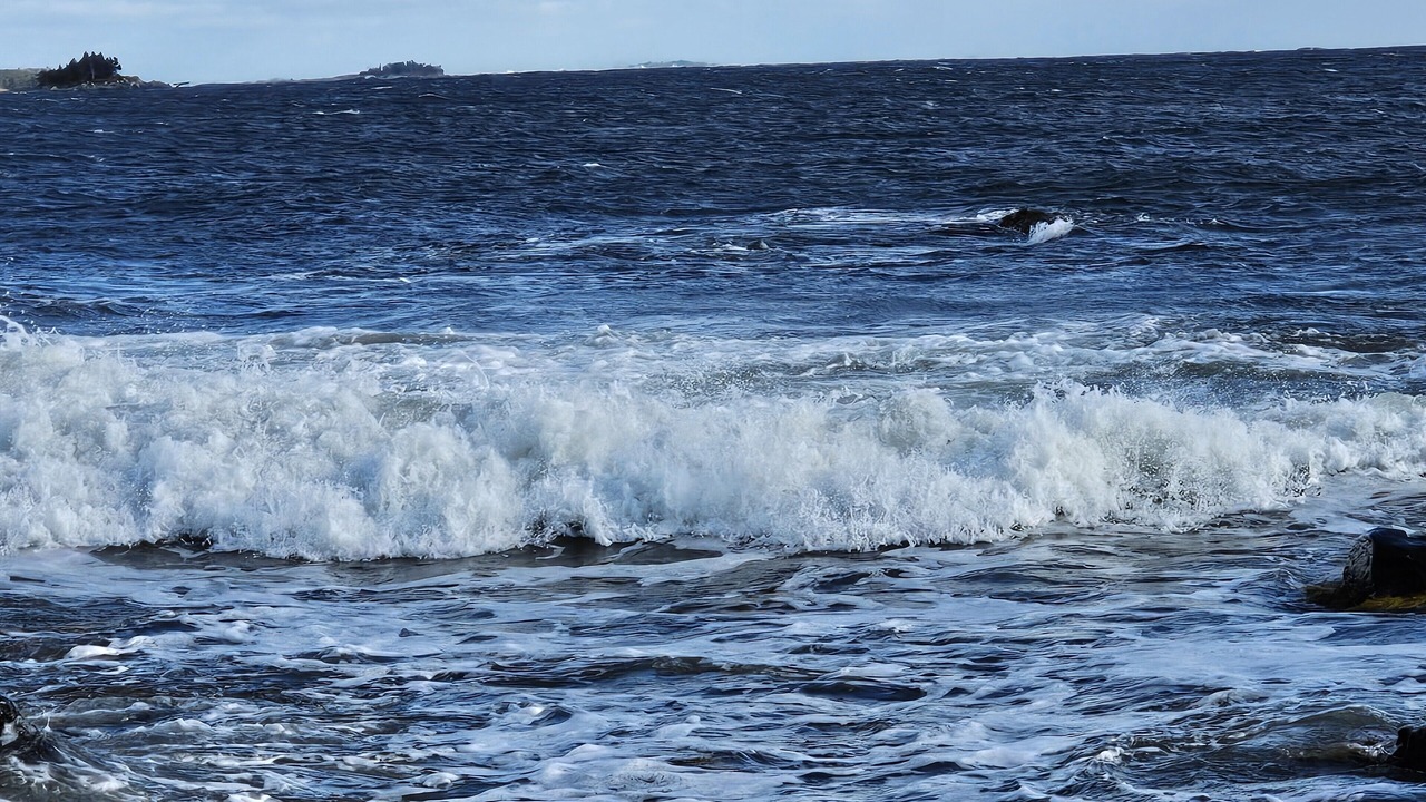 Photo of Others in West Quoddy