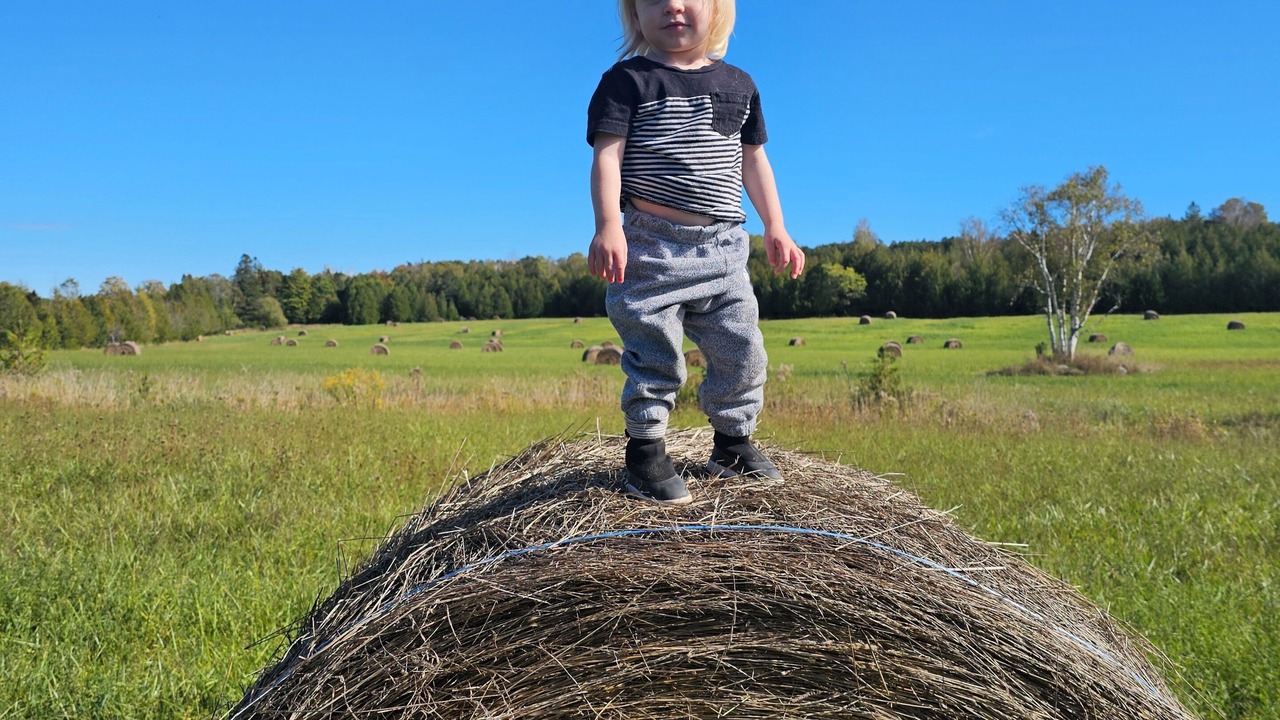 Photo of Others in Manitoulin District