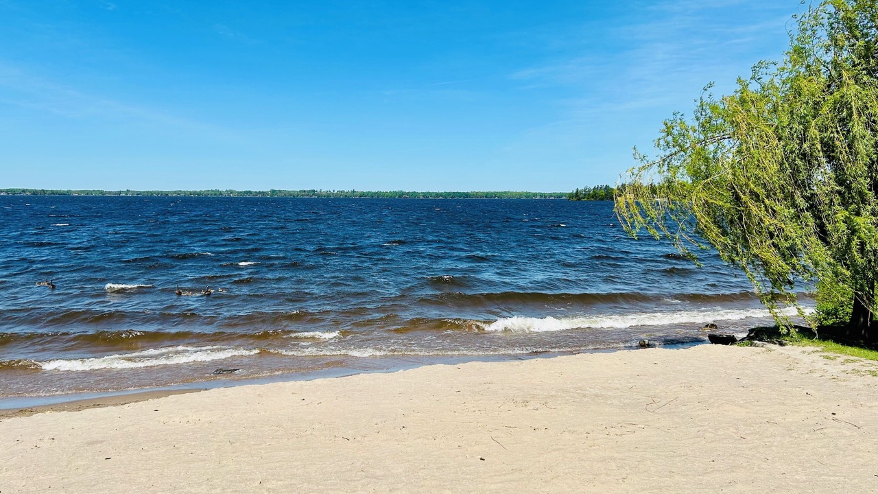 Photo of Others in Fenelon Falls