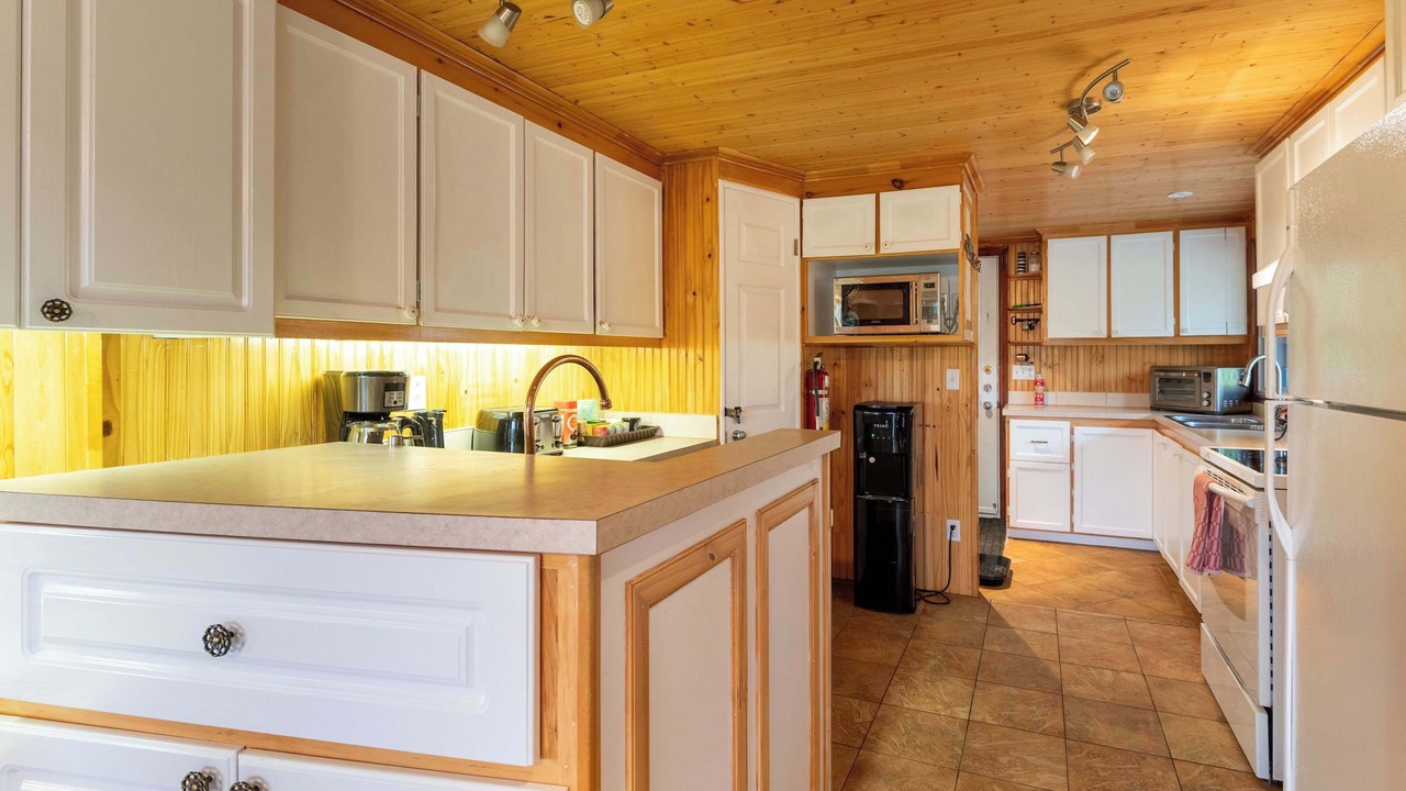 Photo of Kitchen in Chertsey