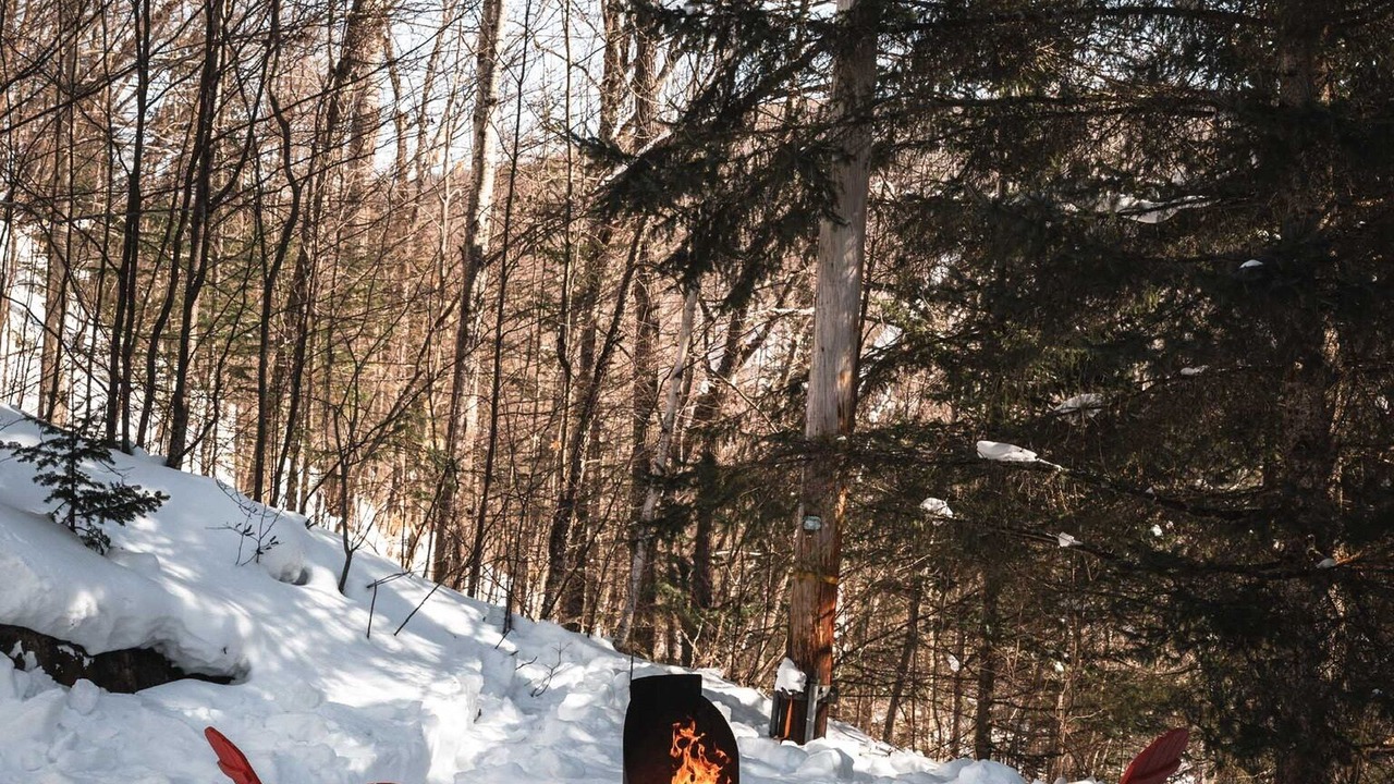 Photo of Outdoor in Lac-des-Seize-Iles