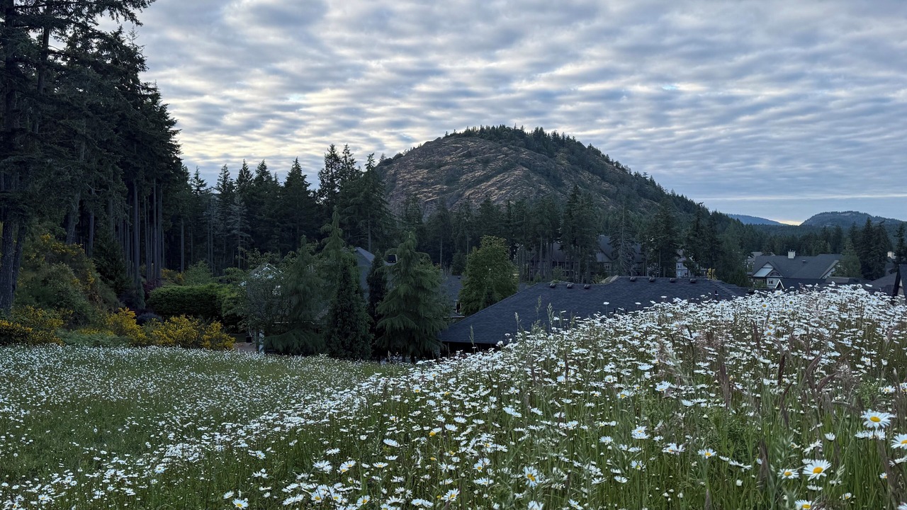 Photo of Others in Bear Mountain Resort