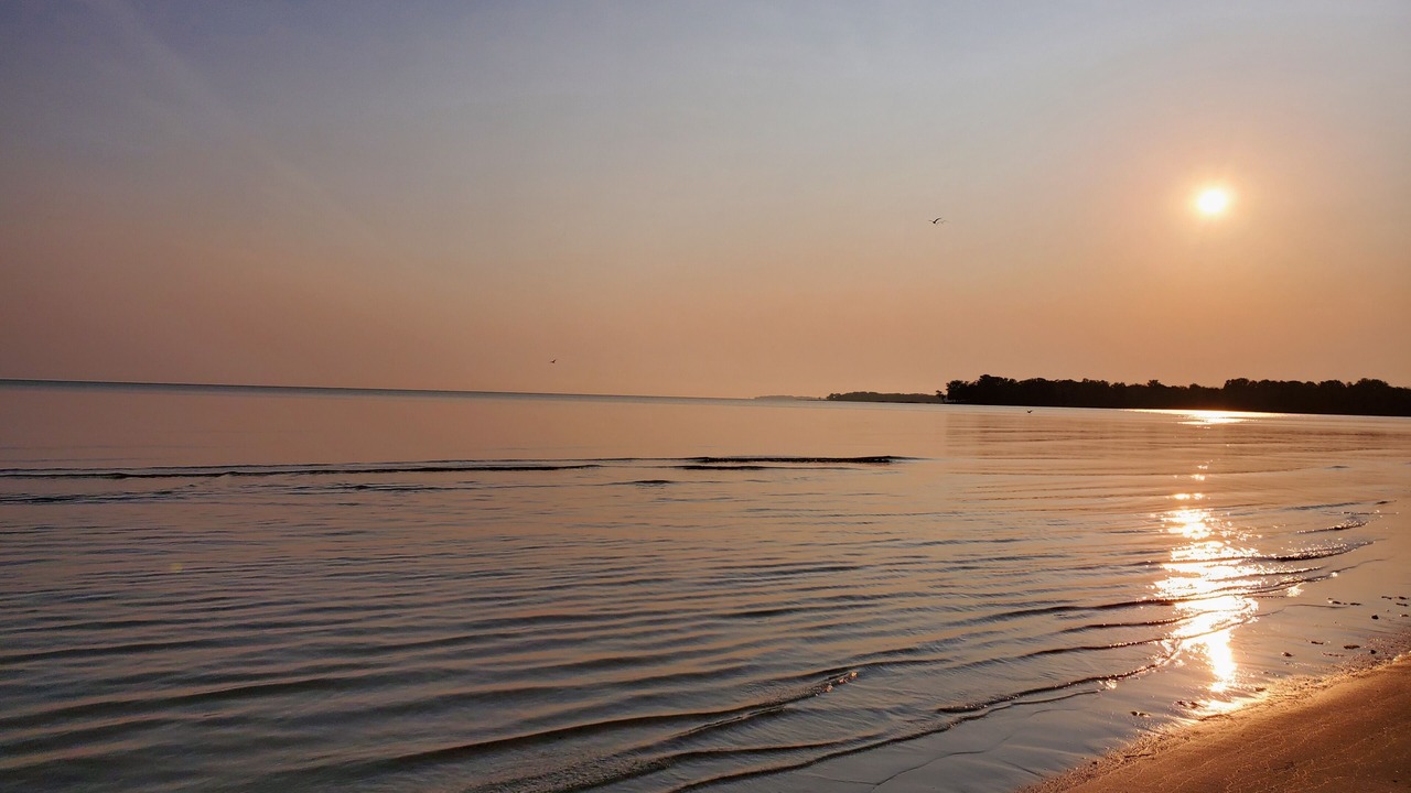 Photo of Others in Waverly Beach