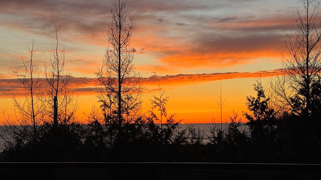Photo of Others in Northern Bruce Peninsula
