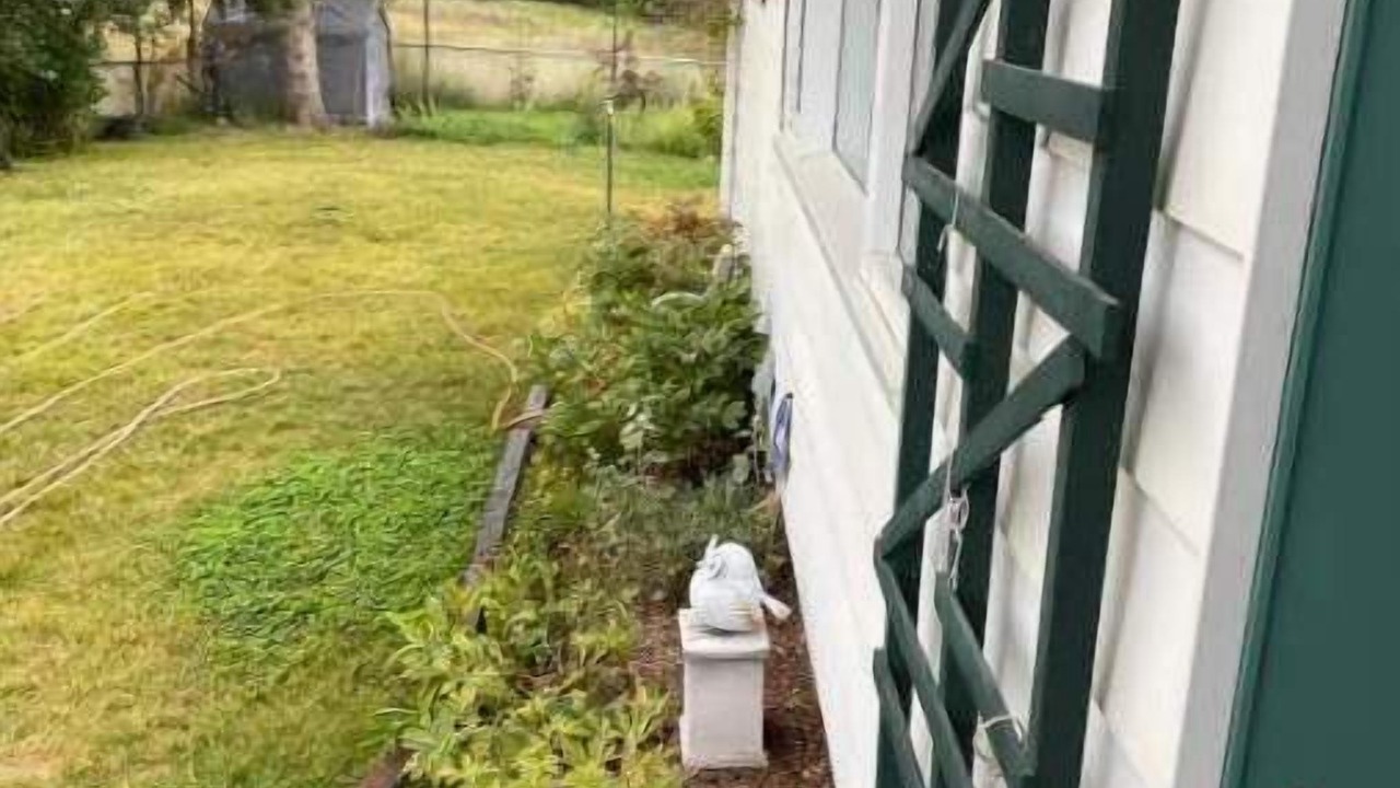 Photo of Outdoor in Cranbrook