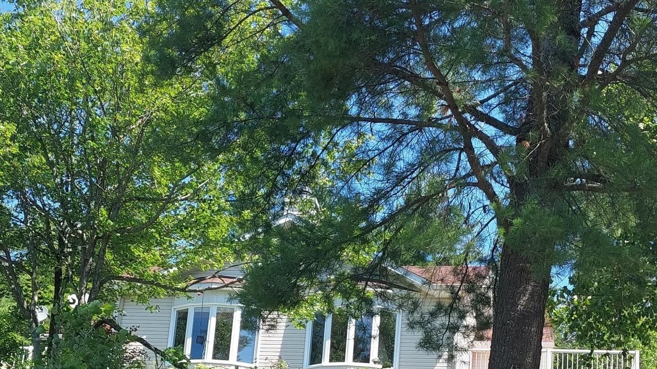 Photo of Outdoor in Chertsey