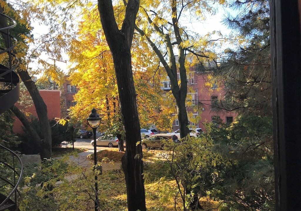 Photo of Others in Ville-Marie