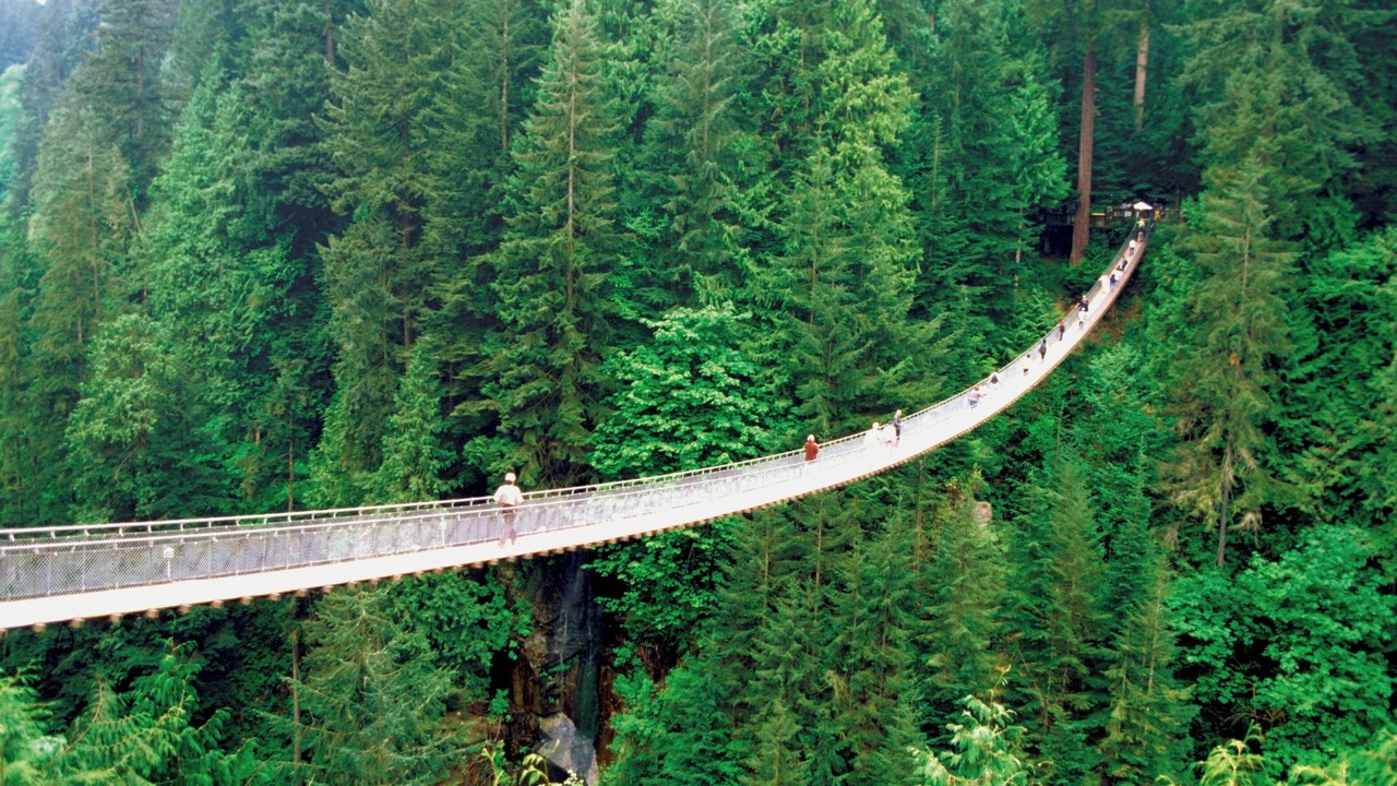 Photo of Others in North Vancouver