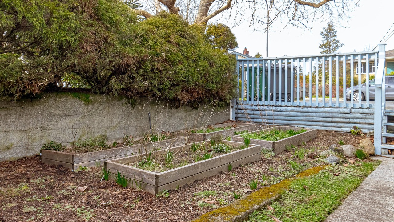 Photo of Outdoor in Victoria
