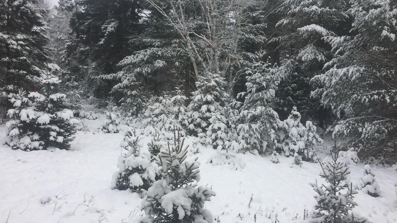 Photo of Outdoor in Val Morin