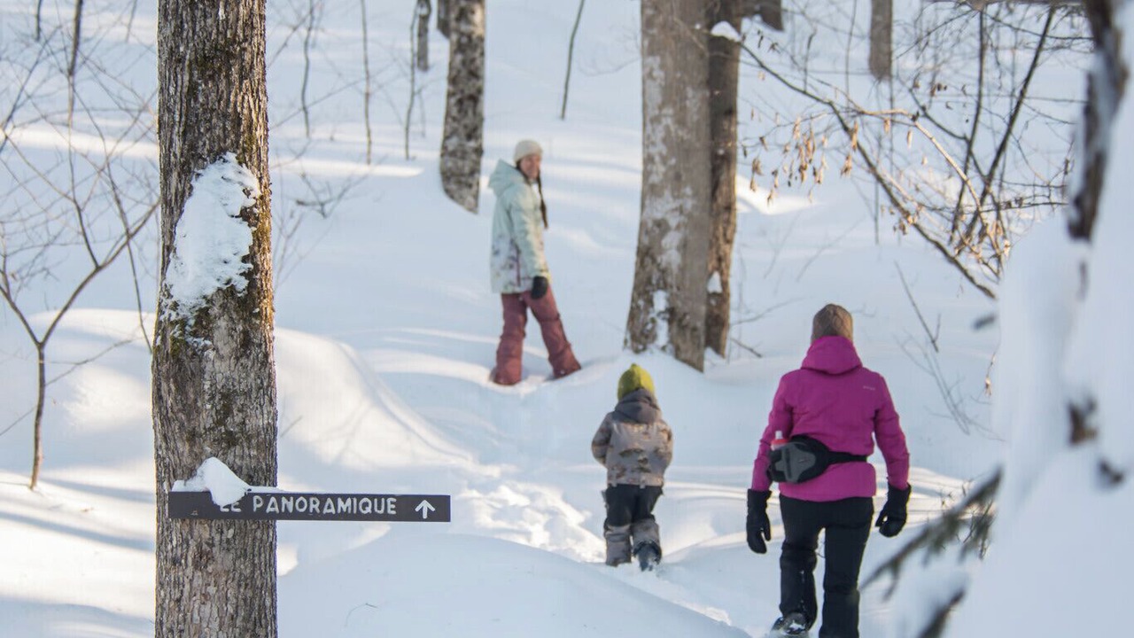 Photo of Others in Saint-Faustin-Lac-Carre