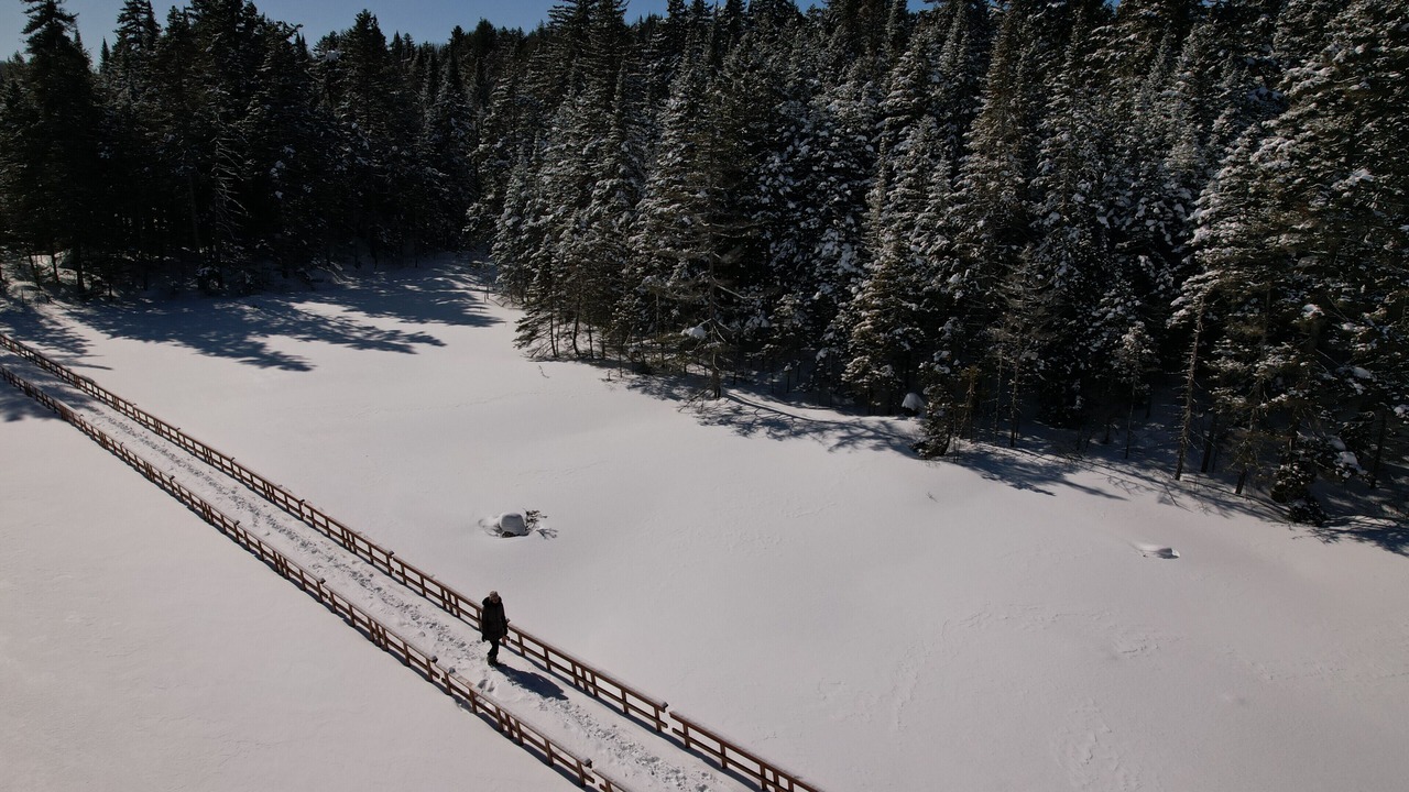 Photo of Others in Saint-Faustin-Lac-Carre