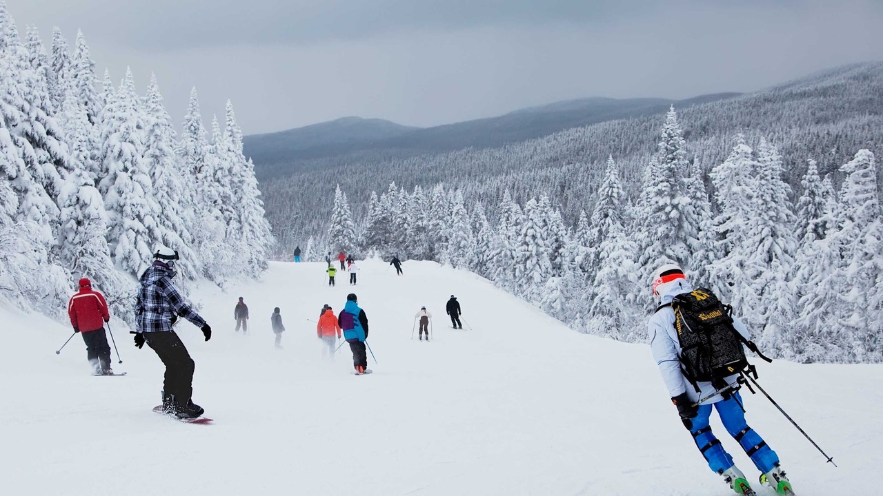 Photo of Others in Fiddler Lake Resort