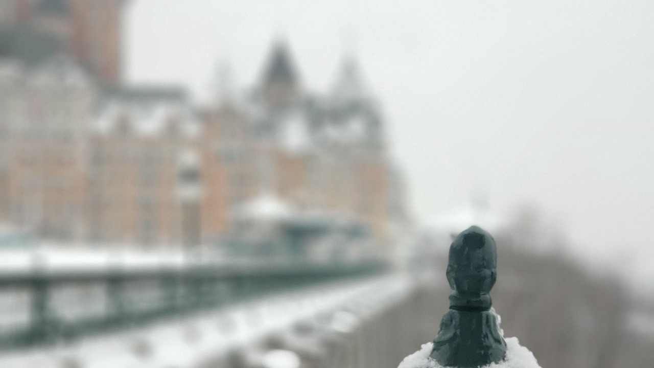 Photo of Others in Vieux-Quebec-Cap-Blanc-colline Parlementaire
