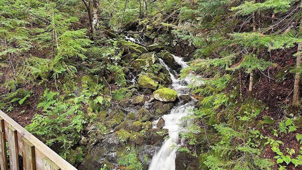 Photo of Others in Petite-Riviere-Saint-Francois