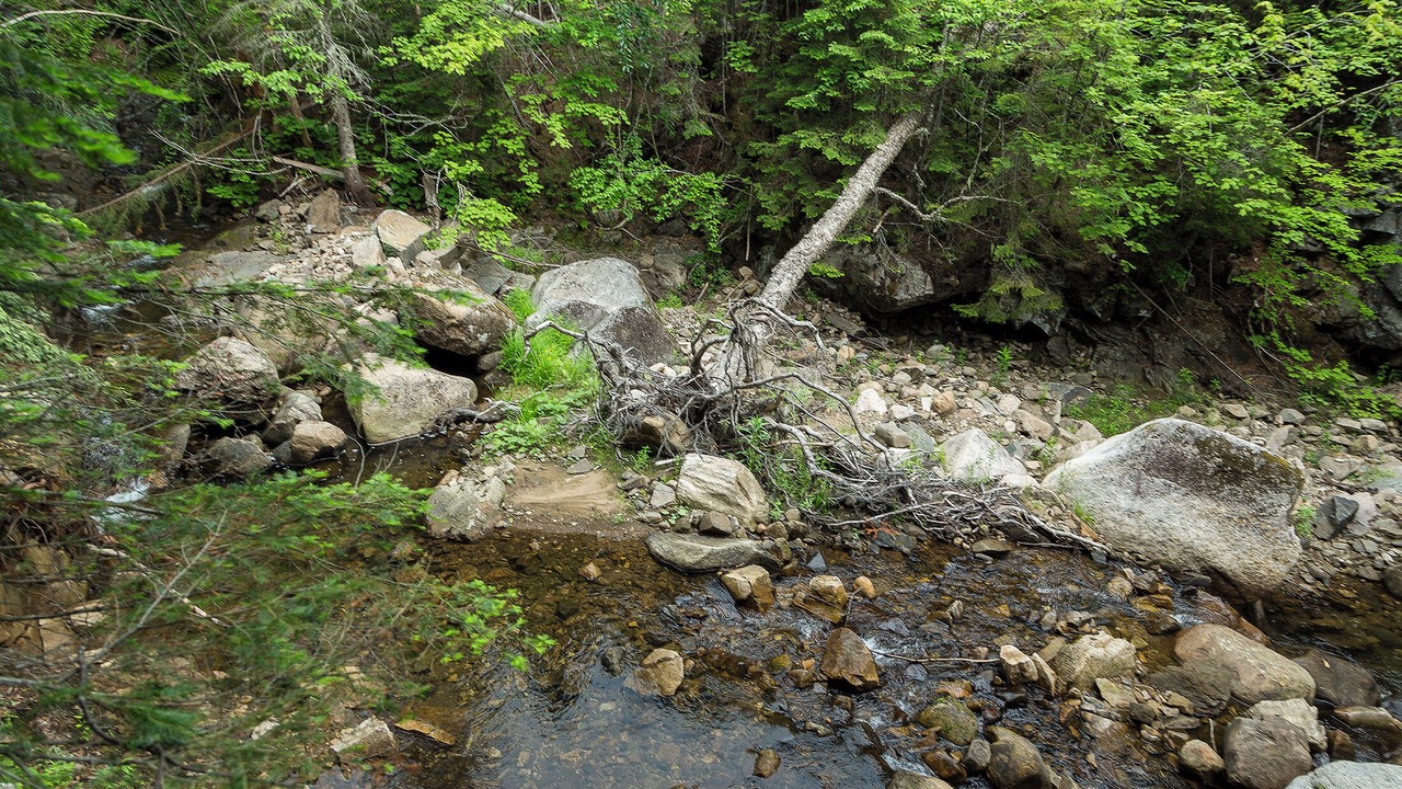 Photo of Others in Petite-Riviere-Saint-Francois
