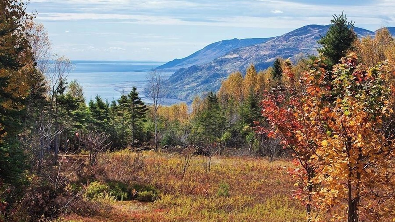Photo of Others in Baie-St-Paul