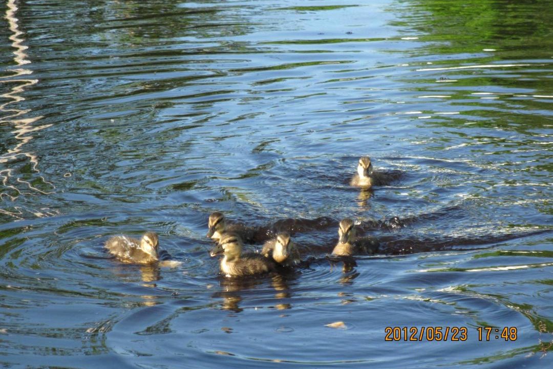 Photo of Others in Beaumont