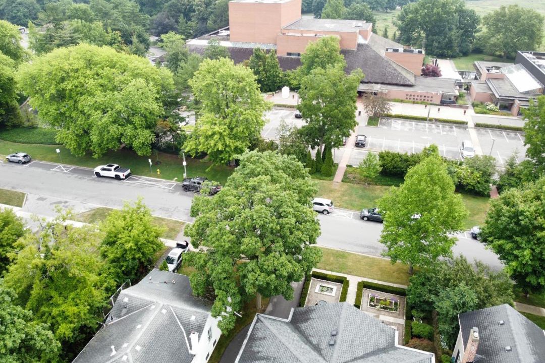 Photo of Others in Old Town Historic District
