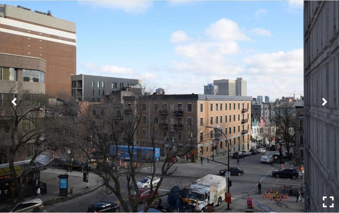 Photo of Others in Plateau Mont Royal