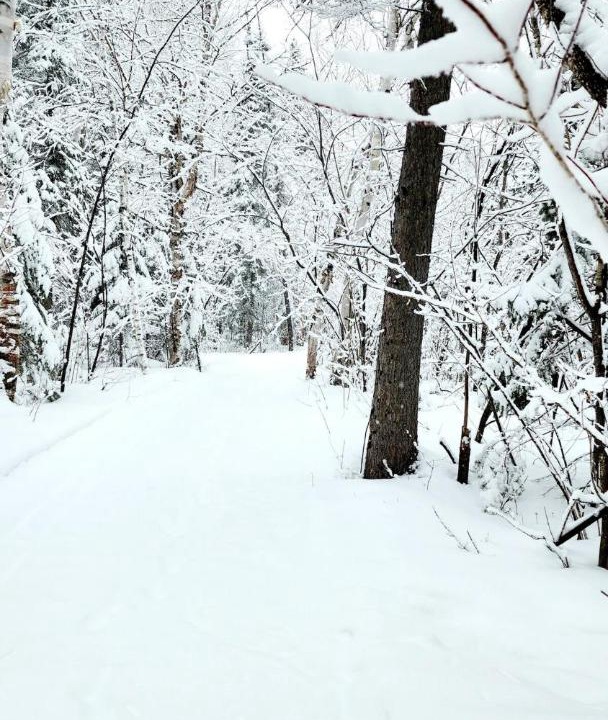 Photo of Others in St. Felicien