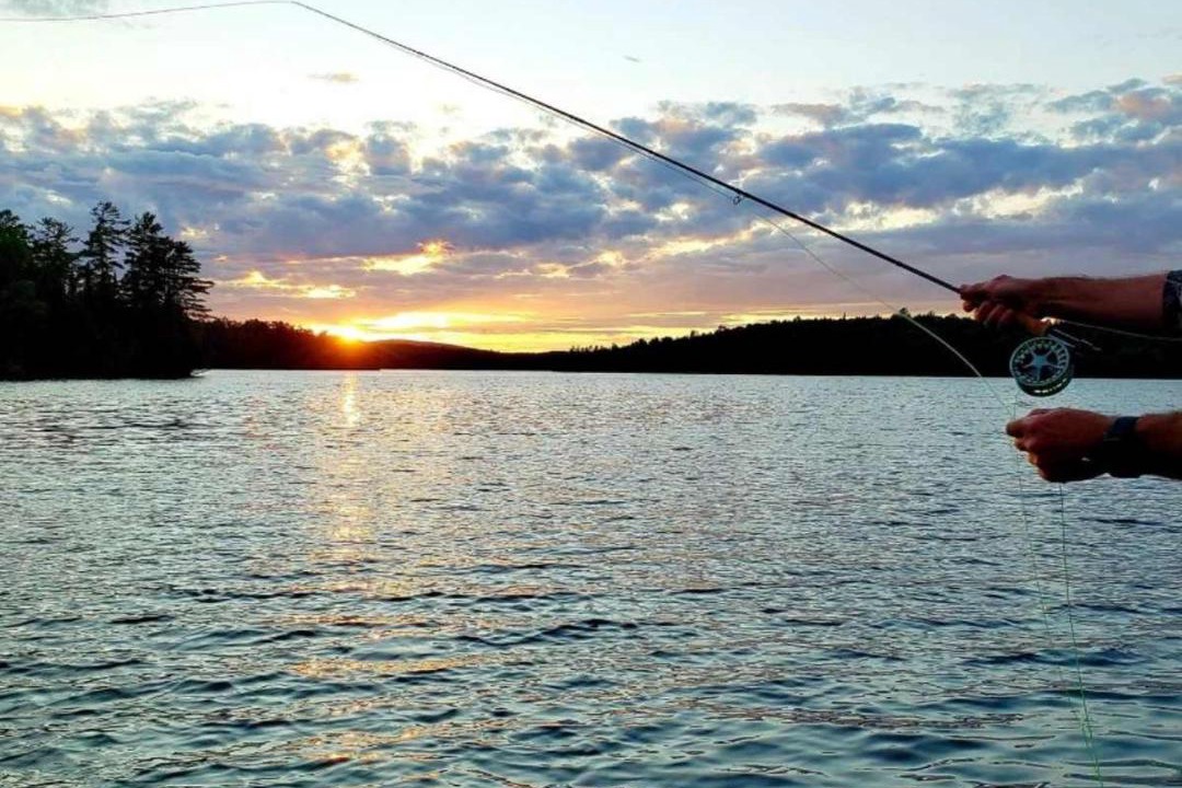 Photo of Others in Blue Sea