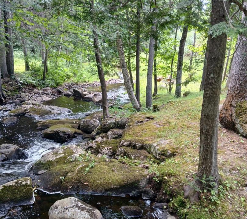 Photo of Others in Mauricie