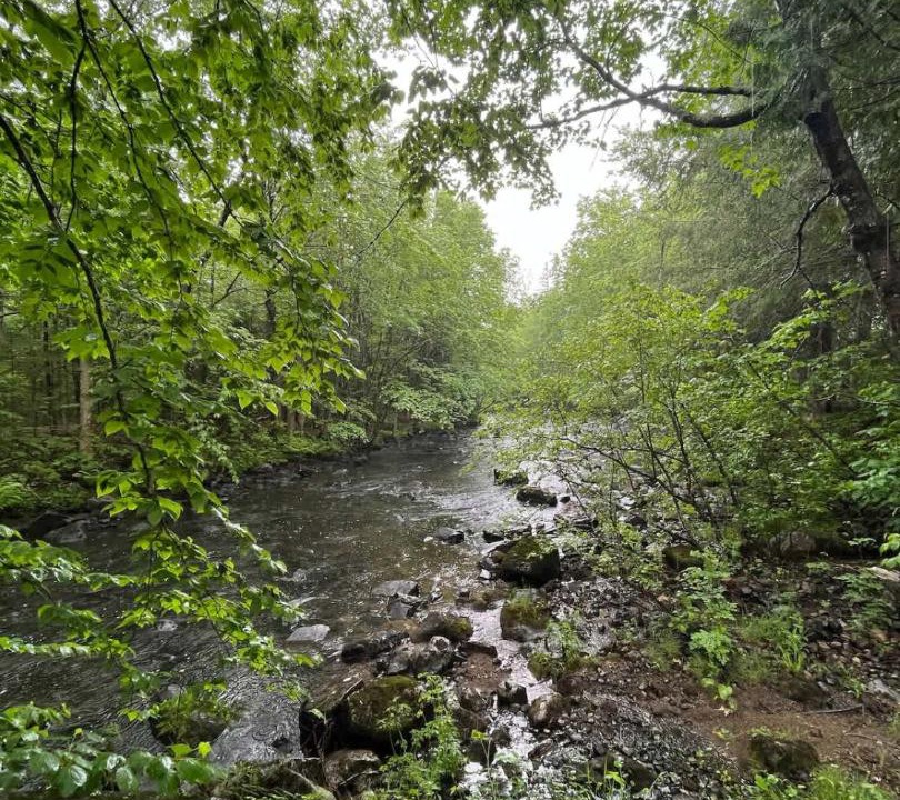 Photo of Others in Wentworth-Nord