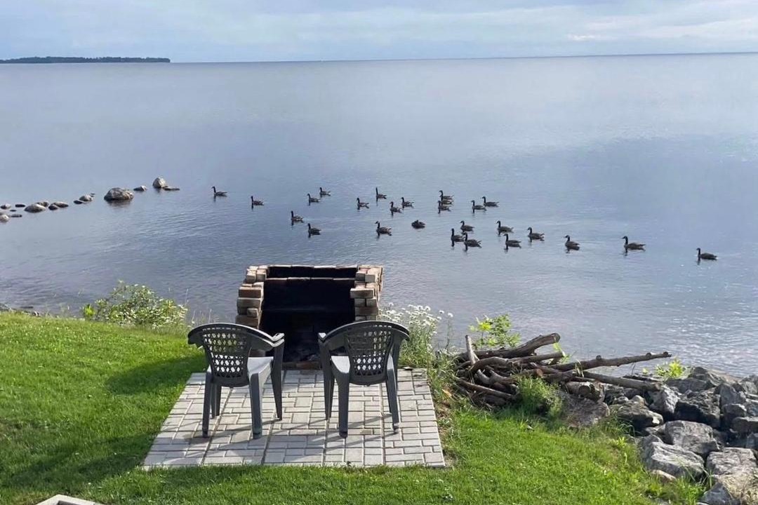 Photo of Others in Roberval