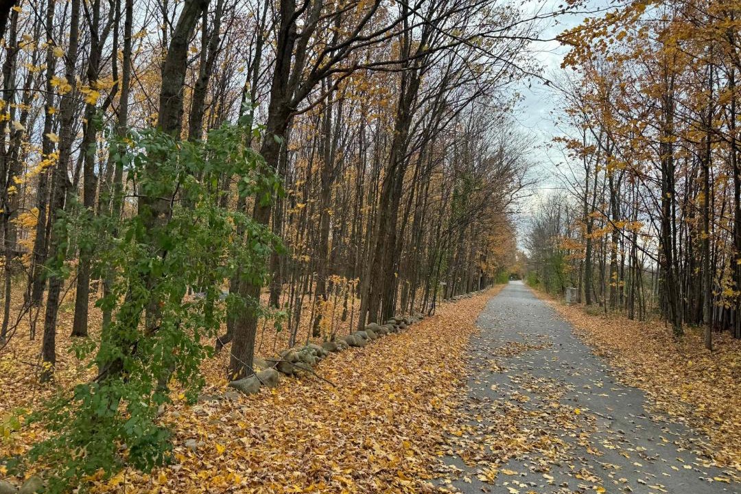 Photo of Others in Rigaud
