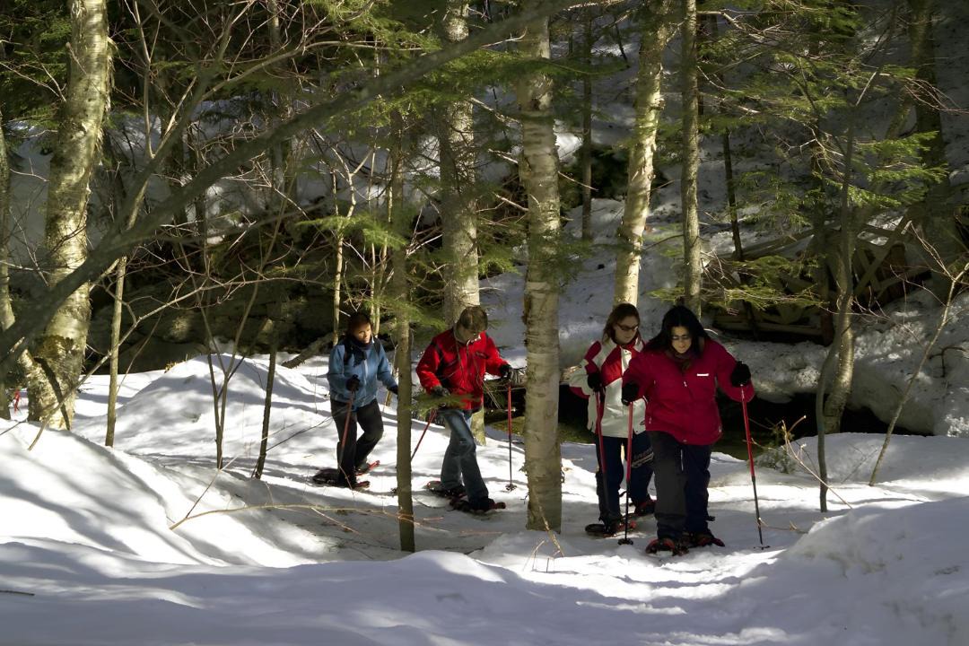 Photo of Others in Saint-Paul-de-Montminy