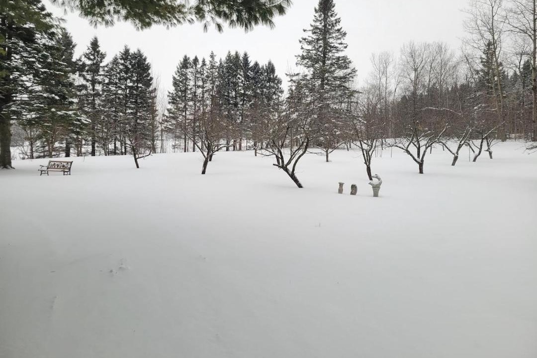 Photo of Others in Saint-Jean-de-Brebeuf