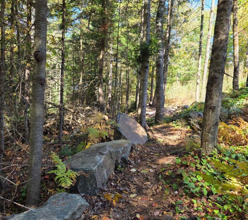 Photo of Others in Pine Hill