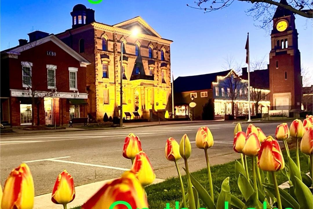 Photo of Others in Old Town Historic District